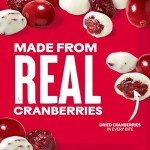 Ocean Spray® Greek Yogurt Covered Craisins®, Greek Yogurt Flavored, Covered Cranberries, Dried Fruit, 5 Oz Pouch (Pack of 1)