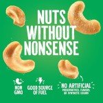 Emerald Nuts Roasted and Salted Cashews 7ct (1-Pack), 100-Calorie Individual Packs, Kosher Certified, Non-GMO, Contains No Artificial Preservatives, Flavors or Synthetic Colors