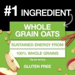 KIND Breakfast Protein, Healthy Snack Bar, Apple Cinnamon, Gluten Free Breakfast Bars, 8g Protein, 1.76OZ Packs, 6 Count
