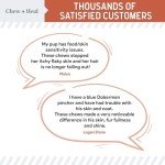 Salmon Oil for Dogs - Soft Chew Omega Treats for Skin and Coat - Fish Oil Blend of Essential Fatty Acids, Omega 3 and 6, Vitamins, Antioxidants and Minerals - Made in USA (180 Chews, Salmon)