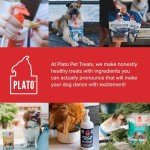 PLATO Wild Alaskan Salmon Oil Kibble Topper - Boost Dog Food with Omega 3 & 6 Fatty Acids - For Healthy Skin & Coat - 8 ounces