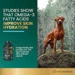 VetriScience Healthy Skin Omega 3, 6, 9 Fish Oil Supplement for Dogs and Cats, 90 Gel Capsules - Supports Healthy Skin & Coat, Immune Health, and Joint Mobility