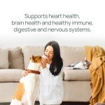 pawTree Salmon Oil-Dog and Cat Fish Oil Supplement-Ideal for excessive shedding control, seasonal allergies, itch relief, dry, irritated skin. With over 15 heart-healthy Omega-3 & Omega-6 Fatty Acids.