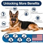 Omega 3 Skin and Coat Supplement for Dogs 200 Chews Dog Fish Oil Supplements with EPA & DHA Fatty Acids Dry Skin Relief for Dogs Shedding Allergy Itching Promotes Heart Hip Joint Health