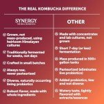 Synergy The Real Kombucha, Blood Orange - 16oz