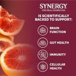 Synergy The Real Kombucha, Blood Orange - 16oz