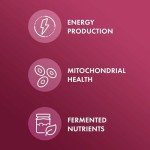 Dr. Mercola Organic Fermented Beets - Nitric Oxide Support - USDA Organic, Non-GMO, Gluten-Free & Soy-Free - 60 Capsules