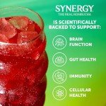 Synergy The Real Kombucha, Trilogy - 48oz