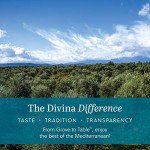 DIVINA Organic Pitted Green Olives, 5.3 oz