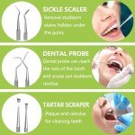 PARYUNGR Dental Tools, Professional Teeth Cleaning Oral Care Hygiene Kit, Stainless Steel Dental Pick Tooth Scraper Tartar Plaque Remover for Dentist, Personal, Pet Use with Storage Box