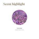 Young Living Lavender 5ml Essential Oil - Tranquil Aroma for Perfumes, Soothing Senses - Ideal for Massage, Relaxation, and Skin Care - Aromatherapy Diffuser