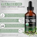 Tea Tree Essential Oil by Fiora Naturals - 100% Pure Organic Oil, for Face, Hair, Skin, Acne, Scalp, Foot and Toenails, Melaleuca Alternifolia