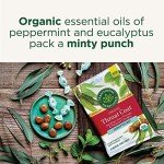 Traditional Medicinals Lozenges, Organic Throat Coat Lozenges, Eucalyptus Mint, Soothes Sore Throats & Relieves Coughs, 16 Individually Wrapped
