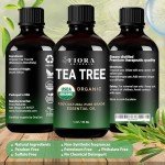 Tea Tree Essential Oil by Fiora Naturals - 100% Pure Organic Oil, for Face, Hair, Skin, Acne, Scalp, Foot and Toenails, Melaleuca Alternifolia
