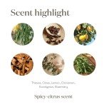 Young Living Thieves Essential Oil Blend | 5 ml | Lemon, Clove, Eucalyptus, Cinnamon Bark, Rosemary | Versatile for Diffusers, Topical Application, Freshening Spaces, Daily Wellness, and Home Care