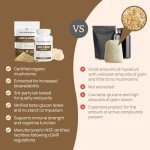 Real Mushrooms Lions Mane Supplement Capsules - Mushroom Supplement for Overall Wellness with Verified Beta Glucans – Non-GMO, Vegan Mushroom Supplements in 120 Capsules