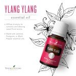 Young Living Ylang Ylang - 15 ml Bottle of Aromatherapy Premium Essential Oil - Promotes Healthy-Looking Skin and Shiny Hair - Sweet and Fragrant Floral Scent