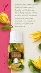 Young Living Ylang Ylang - 15 ml Bottle of Aromatherapy Premium Essential Oil - Promotes Healthy-Looking Skin and Shiny Hair - Sweet and Fragrant Floral Scent