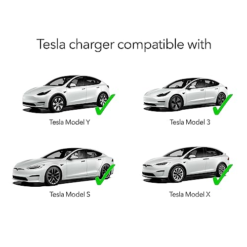 Lectron Level 1 Tesla Charger - Portable and Compatible