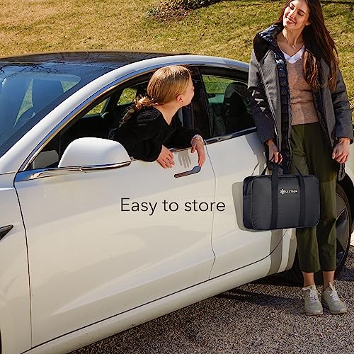 Lectron Level 1 Tesla Charger - Portable and Compatible