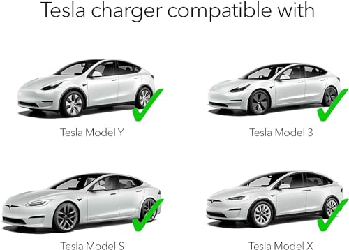 Lectron Portable Level 2 Tesla Charger