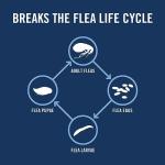 Small Dog Flea & Tick Prevention, 3 Months