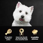 Cesar Wet Dog Food Variety Pack (24)