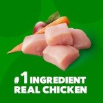 IAMS Minichunks Adult Dry Dog Food with Chicken