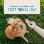 Vetiq Hip and Joint Soft Chews for Dogs