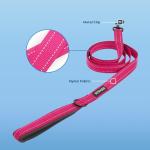 Voyager Reflective 5ft Dog Leash - Fuchsia