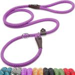 Fida Reflective 6 FT Slip Lead for Dogs