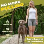 Fida Reflective 6 FT Slip Lead for Dogs