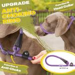 Fida Reflective 6 FT Slip Lead for Dogs