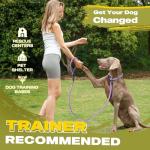 Fida Reflective 6 FT Slip Lead for Dogs