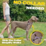Fida Reflective 6 FT Slip Lead for Dogs