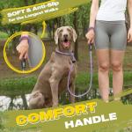 Fida Reflective 6 FT Slip Lead for Dogs