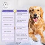 WaYo Fresh Human-Grade Dog Meals - Beef 7 Pack
