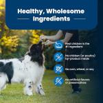 Blue Buffalo Chicken & Brown Rice Dog Food - 5lb