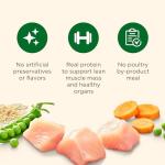 Rachael Ray Nutrish Dog Food - Chicken & Veggie