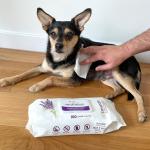 Dog Wipes for Cleaning and Deodorizing - 100 Count
