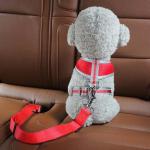 Pet Car Safety Belt for Small and Medium Dogs