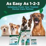 Vet's Best Dog Dental Kit with Toothpaste & Brush