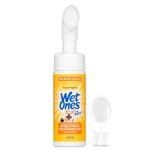 Wet Ones Antibacterial Dog Paw Cleaner Foam
