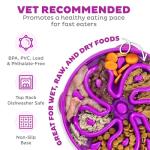 Outward Hound Slow Feeder Bowl for Large Dogs