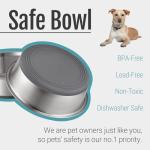 Set of 2 Nonslip Stainless Steel Dog Bowls