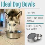 Set of 2 Nonslip Stainless Steel Dog Bowls