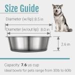 Set of 2 Nonslip Stainless Steel Dog Bowls