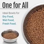 Set of 2 Nonslip Stainless Steel Dog Bowls