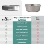 Heavy-Duty Insulated Stainless Steel Dog Bowl