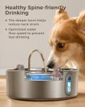 Smartoo Automatic Stainless Steel Dog Water Fountain